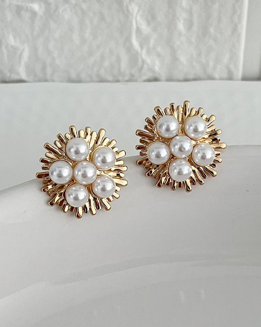 Stainless Steel Premium Quality Errings