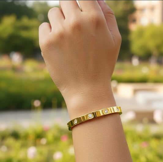 Stainless Steel Premium Quality Handcuff