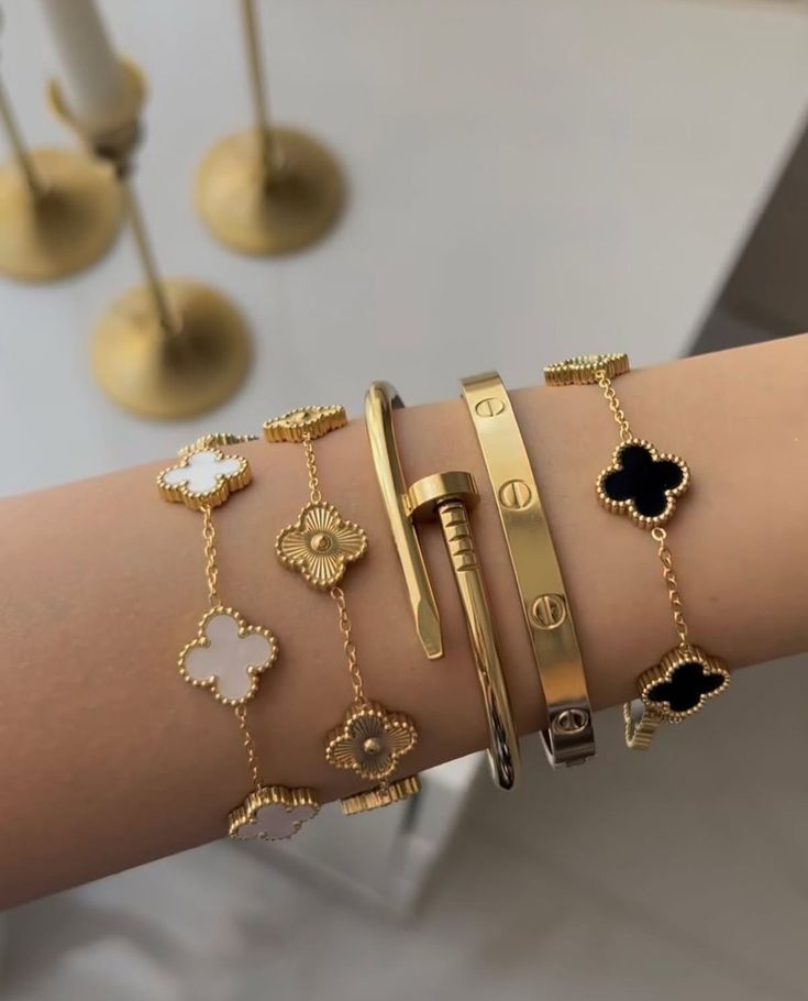 Stainless Steel Premium Quality Bundle