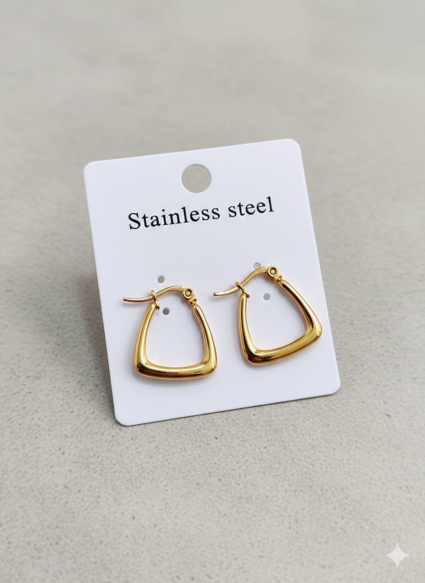 Stainless Steel Premium Quality Earrings