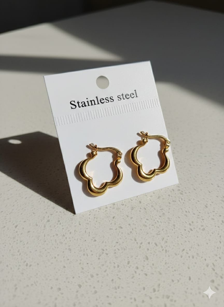 Stainless Steel Premium Quality Earrings