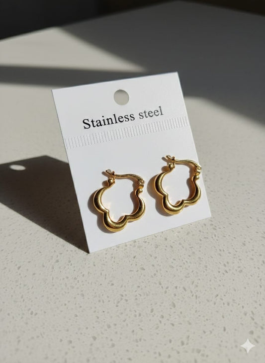 Stainless Steel Premium Quality Earrings