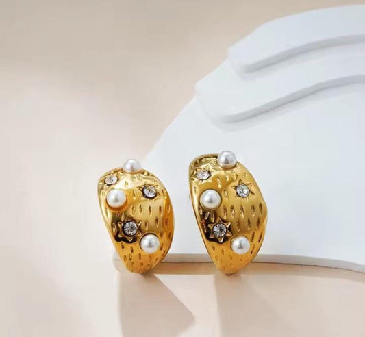 Stainless Steel Premium Quality Earrings