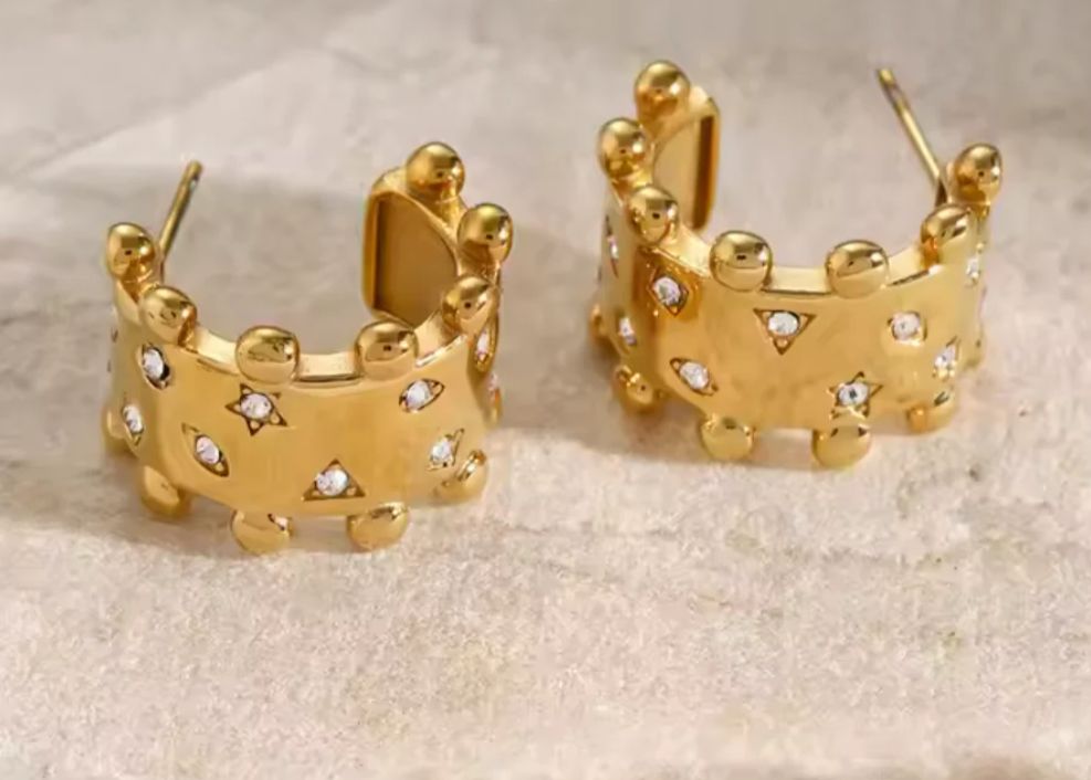 Stainless Steel Premium Quality Earrings