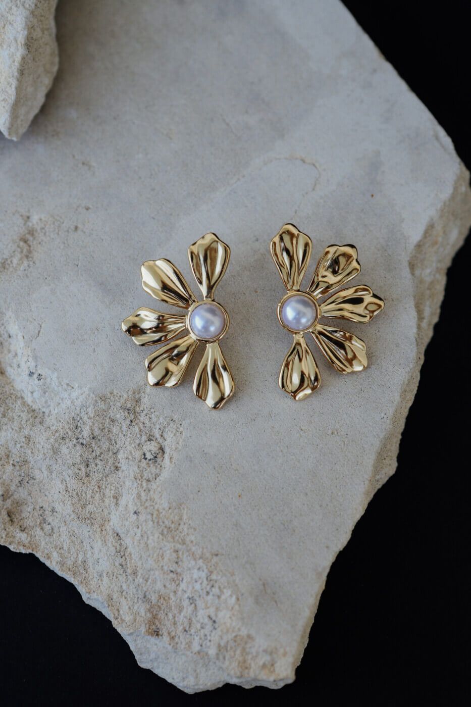 Stainless Steel Premium Quality Earrings