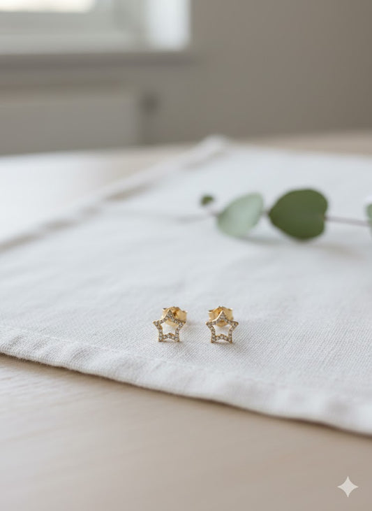 Stainless Steel Premium Quality Earring