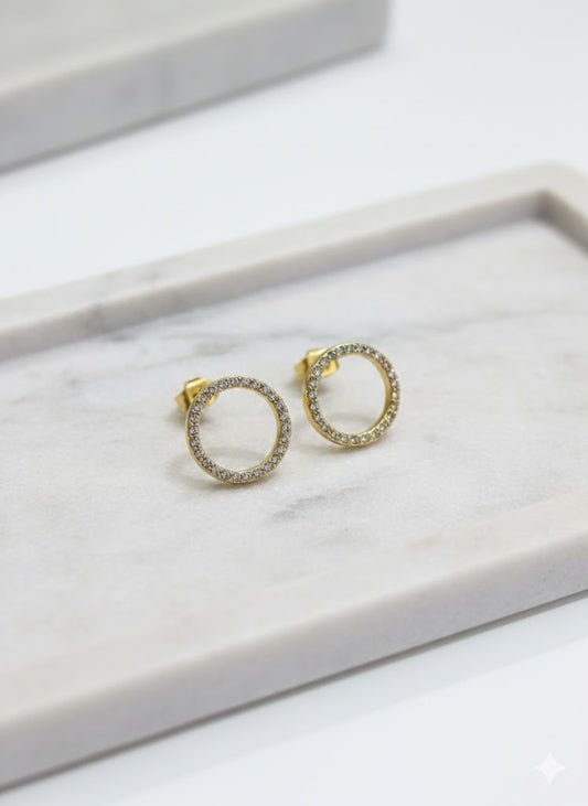 Stainless Steel Premium Quality Errings